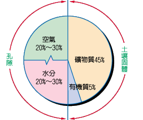 P11-1.gif (12258 bytes)