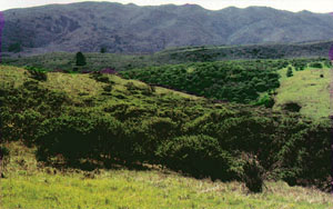 P1108-4.jpg (25959 bytes)