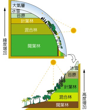 植被