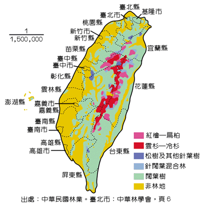 P16-2.gif (40185 bytes)