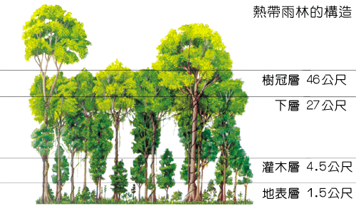P4-4.gif (74284 bytes)