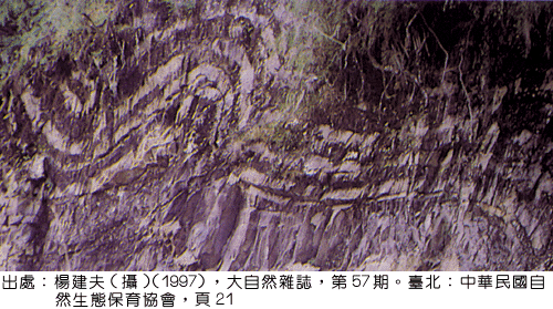 PHO7-1.gif (137328 bytes)